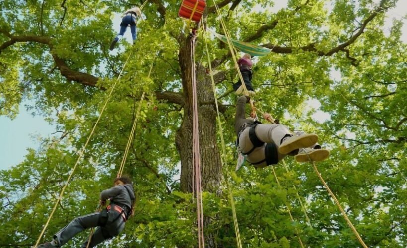 imgi_32_grimpe-dans-les-arbres (1)